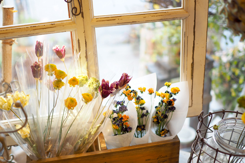 柏駅でおすすめのお花屋さんまとめ ドライフラワーから季節のお花まで豊富な品揃え Pathee パシー
