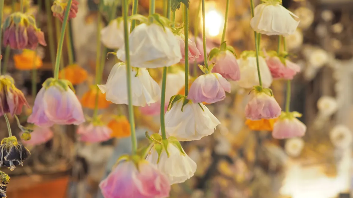 1981年から続くオークハウスの歴史