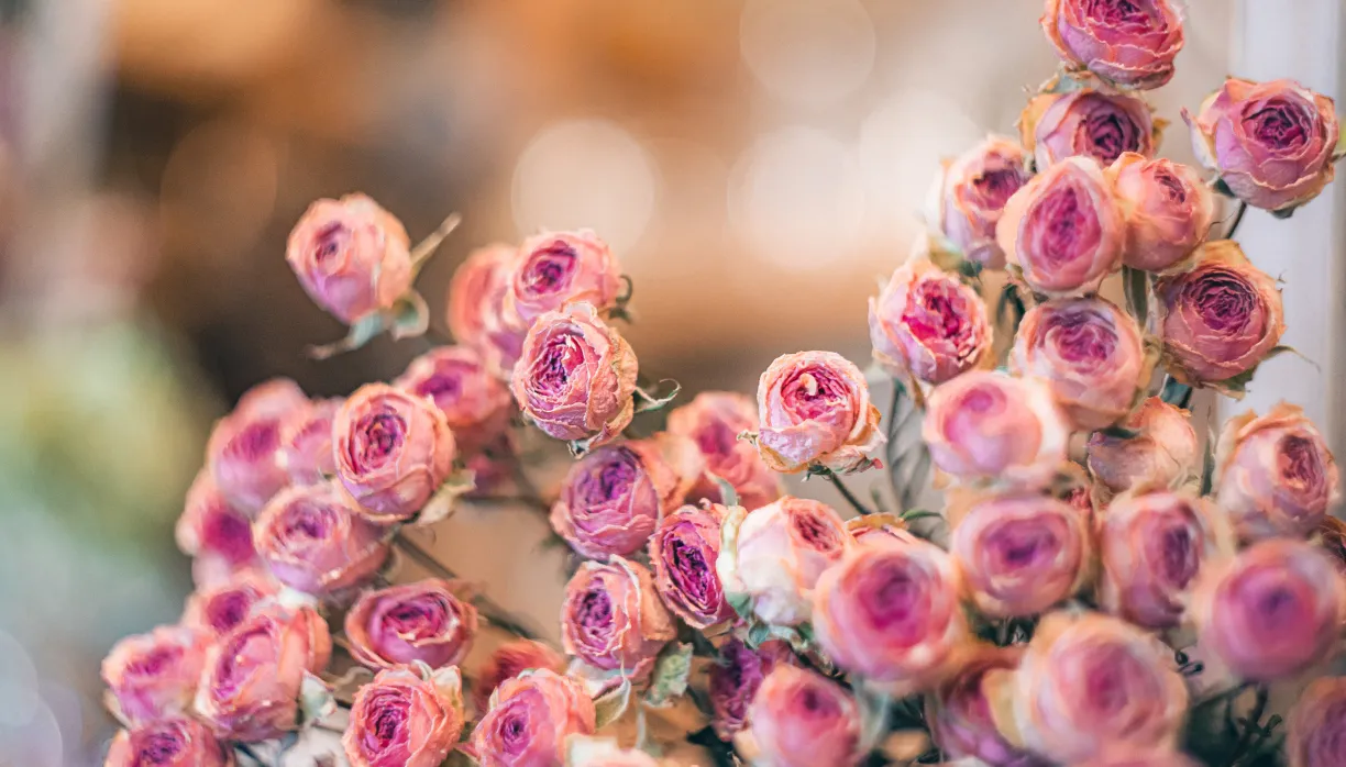 花の知識と想いを次の人へ 認定講師