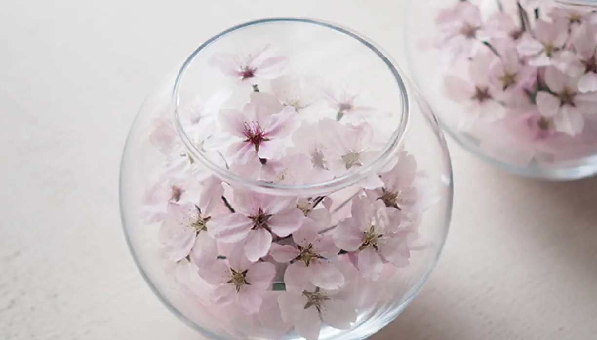 ボトルフラワー 季節で一番美しい花を厳選してガラスに保存