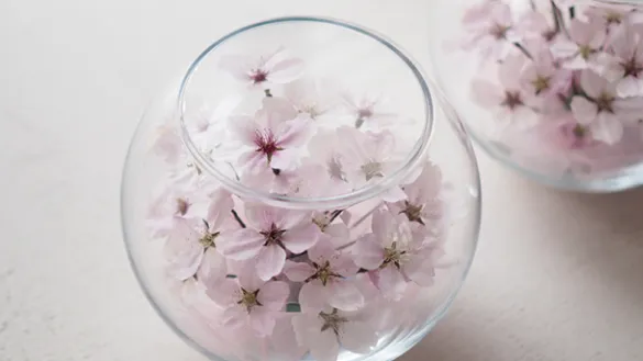 想いを残す花 季節や記憶に寄り添うボトルフラワー