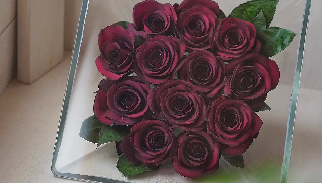 花を残すという選択 オークハウスのストーリー